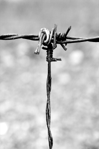 Auschwitz_barbed_wire_cross